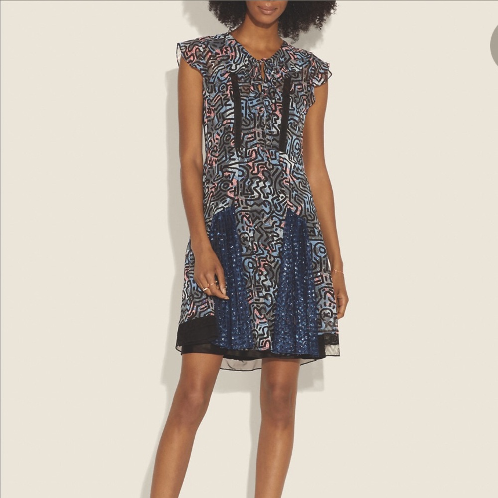 Coach x Keith Haring Dress